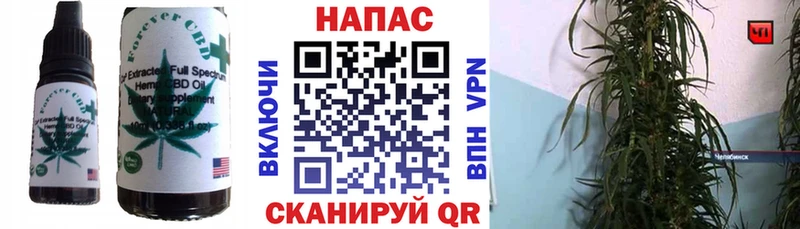 Cannafood марихуана  где найти наркотики  Новоузенск 