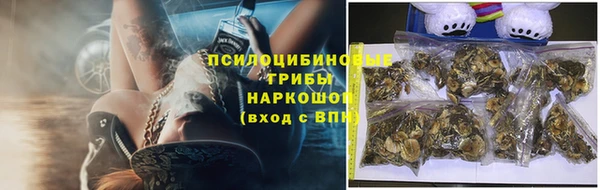 спиды Алексин