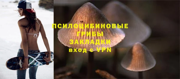 спиды Алексин