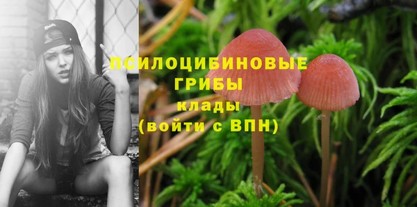 марки lsd Алзамай