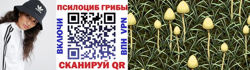 Галлюциногенные грибы мухоморы наркошоп Новоузенск